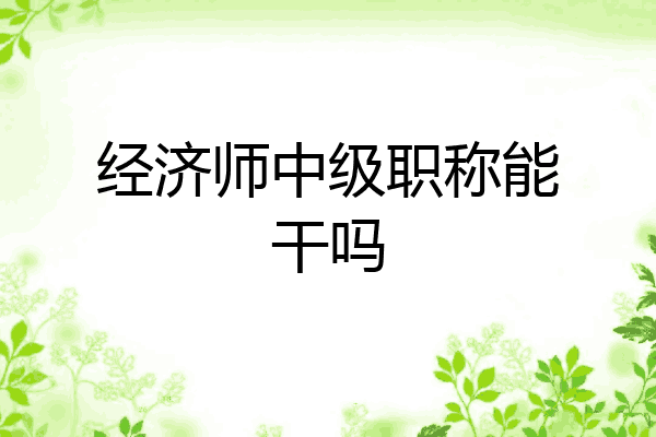 经济师中级职称能干吗