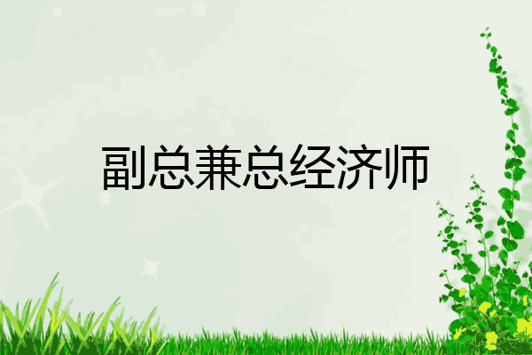 副总兼总经济师