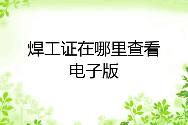 焊工证在哪里查看电子版