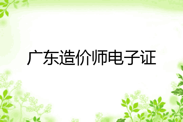广东造价师电子证