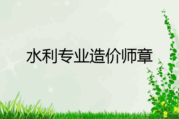 水利专业造价师章