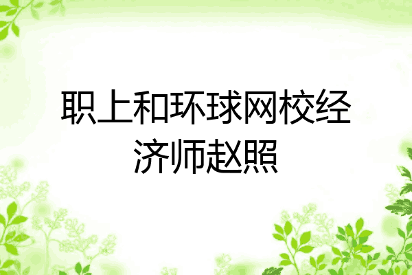 职上和环球网校经济师赵照
