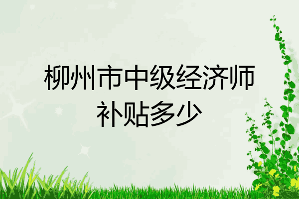柳州市中级经济师补贴多少