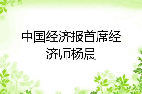 中国经济报首席经济师杨晨