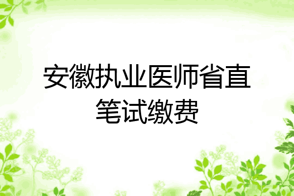 安徽执业医师省直笔试缴费