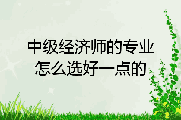 中级经济师的专业怎么选好一点的