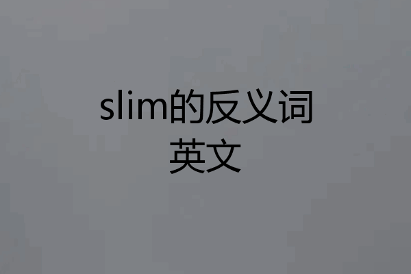 slim的反义词英文