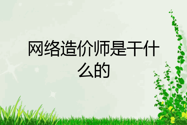 网络造价师是干什么的