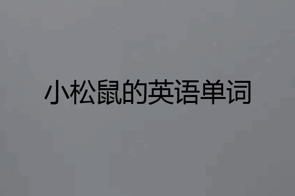小松鼠的英语单词