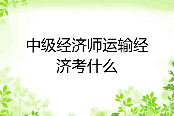 中级经济师运输经济考什么