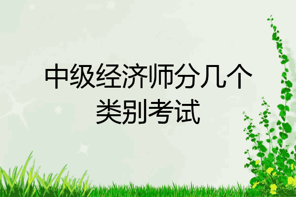 中级经济师分几个类别考试