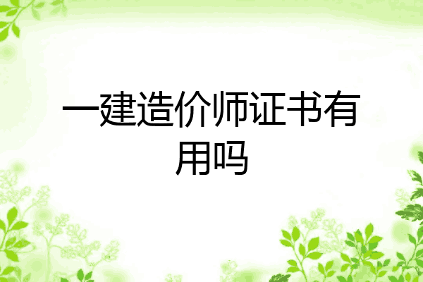 一建造价师证书有用吗