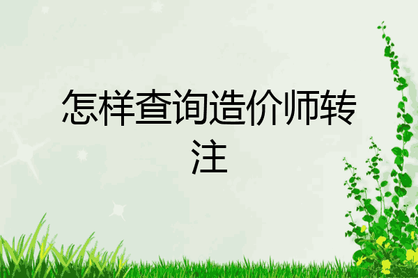 怎样查询造价师转注