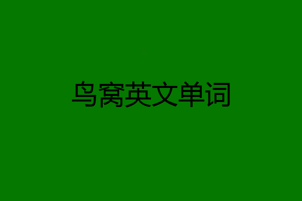 鸟窝英文单词