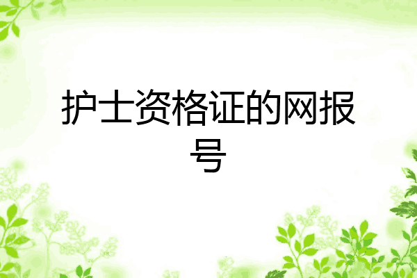 护士资格证的网报号