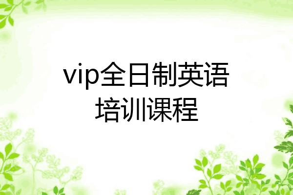 vip全日制英语培训课程