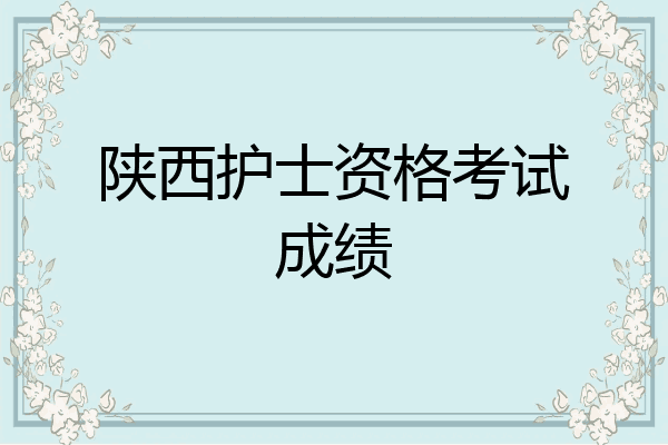 陕西护士资格考试成绩