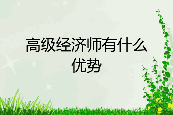 高级经济师有什么优势