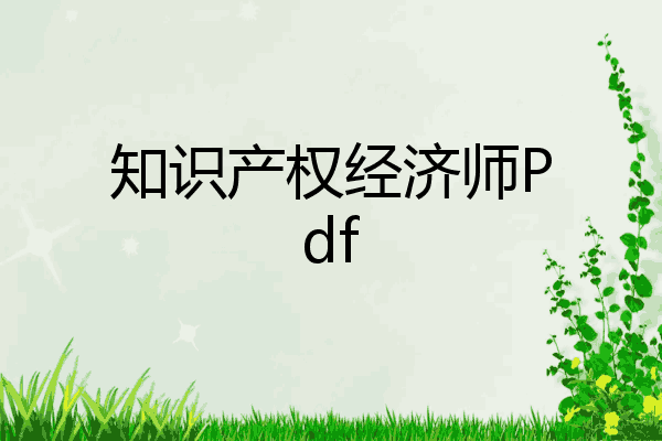 知识产权经济师Pdf