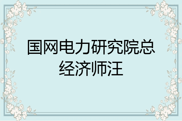 国网电力研究院总经济师汪