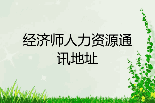 经济师人力资源通讯地址
