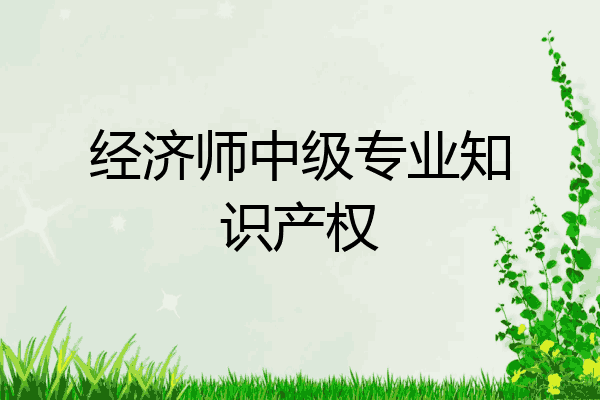 经济师中级专业知识产权