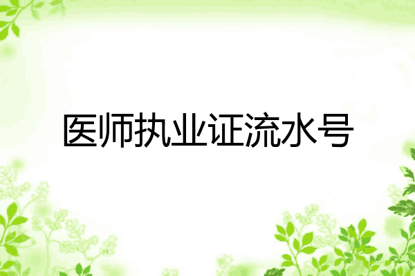 医师执业证流水号