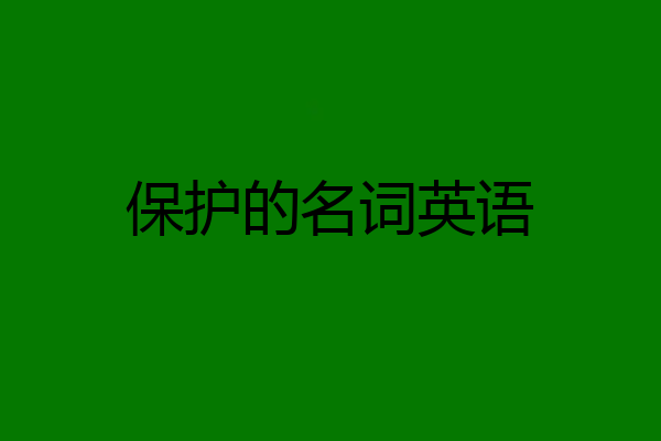 保护的名词英语