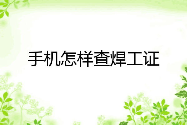 手机怎样查焊工证