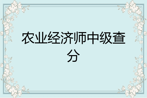 农业经济师中级查分