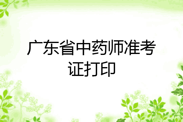 广东省中药师准考证打印