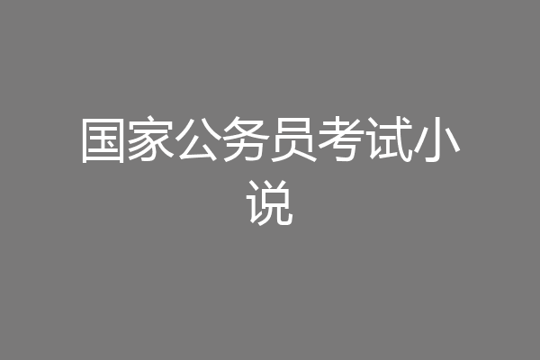 国家公务员考试小说