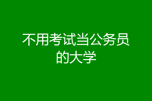 不用考试当公务员的大学