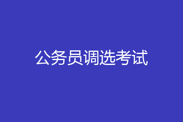 公务员调选考试
