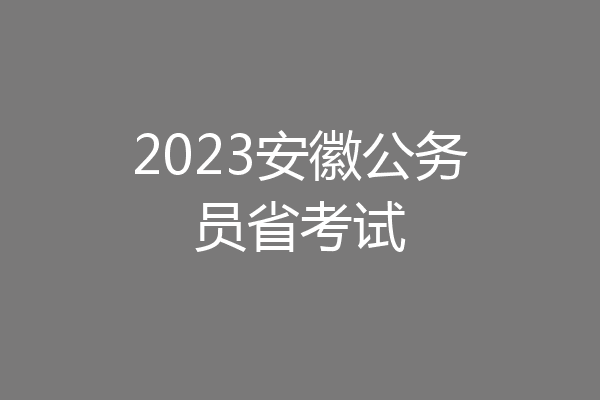 2023安徽公务员省考试