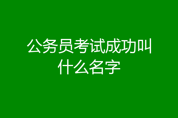 公务员考试成功叫什么名字