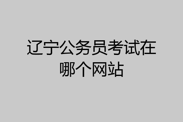辽宁公务员考试在哪个网站