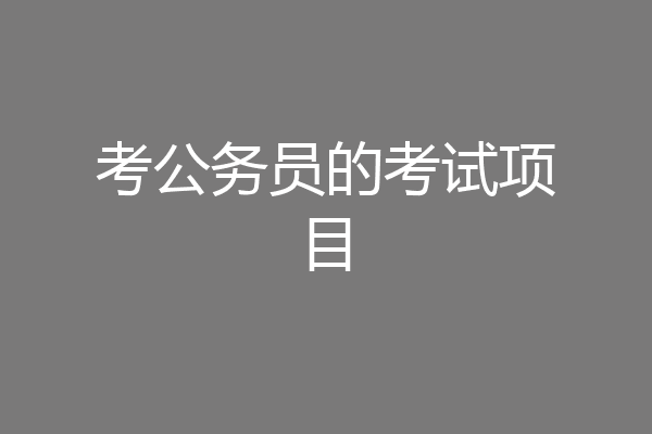 考公务员的考试项目