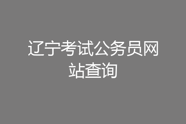 辽宁考试公务员网站查询