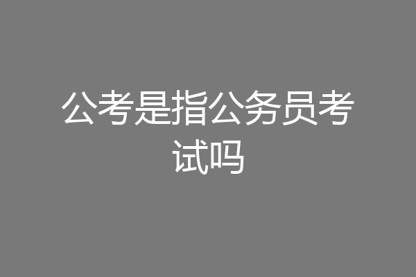 公考是指公务员考试吗