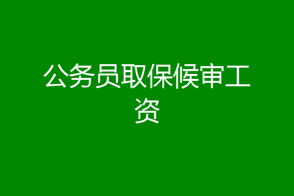 公务员取保候审工资