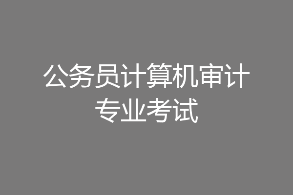 公务员计算机审计专业考试