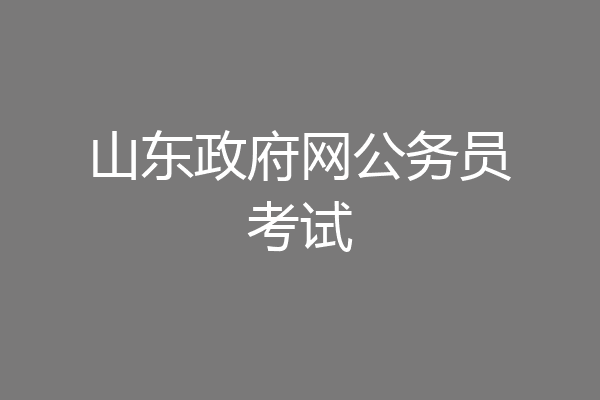 山东政府网公务员考试