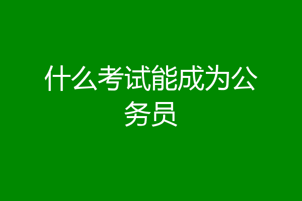 什么考试能成为公务员