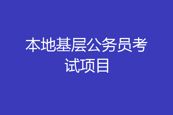 本地基层公务员考试项目