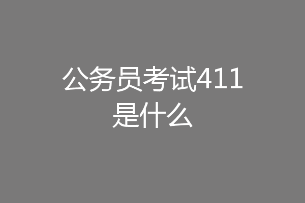 公务员考试411是什么
