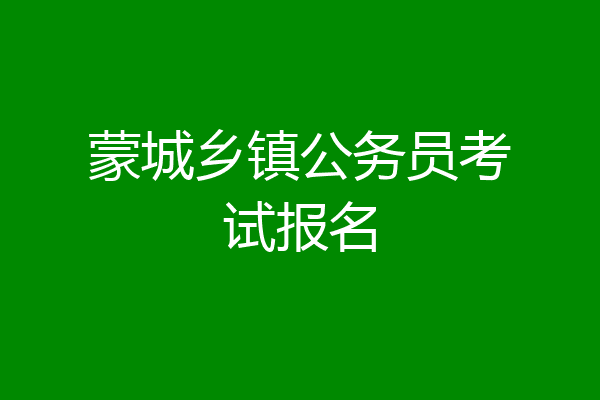 蒙城乡镇公务员考试报名