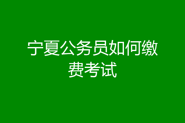宁夏公务员如何缴费考试