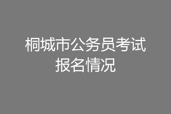 桐城市公务员考试报名情况