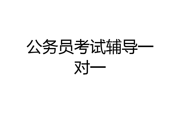 公务员考试辅导一对一